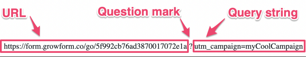 Screenshot: 5 – Visit your form and test it out!