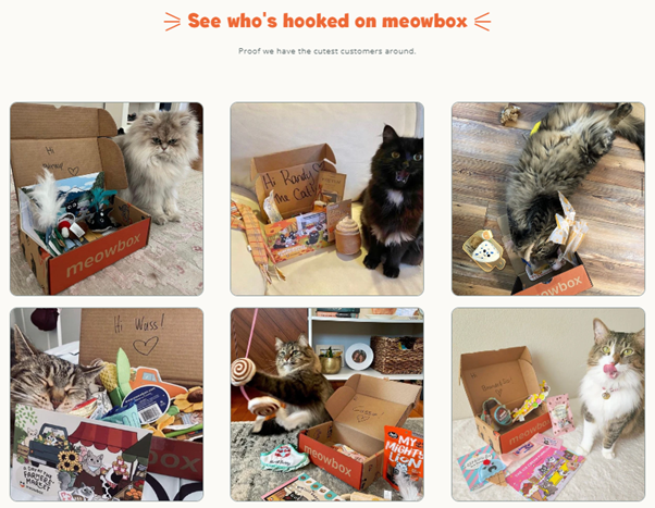 Screenshot: 13. MeowBox