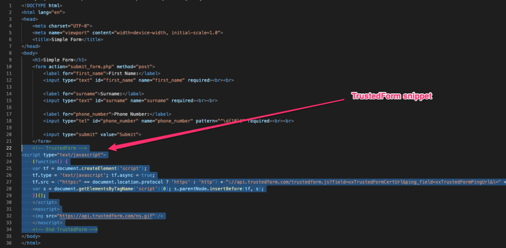 Screenshot: 4) Paste the JavaScript snippet into your HTML document